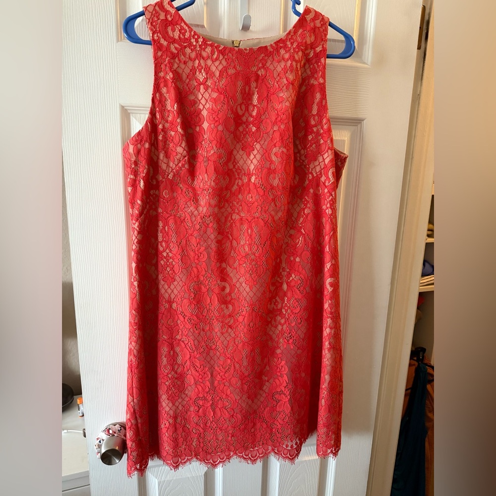 Eliza J Vibrant bright coral Lace Mini Dress